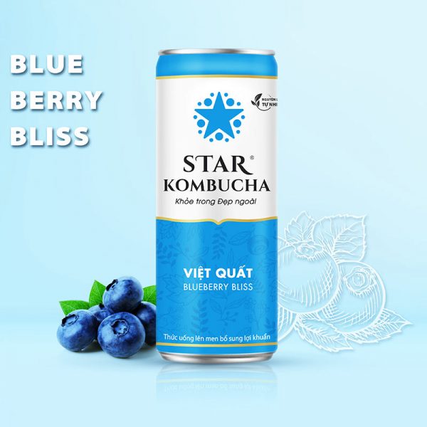 Thùng 12 lon thức uống lên men STAR KOMBUCHA Việt Quất / Blueberry Bliss (250ml/lon)
